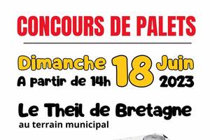 Concours de palets