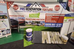 Pro renovation toiture