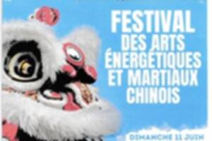 FESTIVAL DES ARTS ÉNERGÉTIQUES ET MARTIAUX CHINOIS