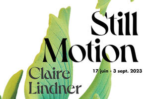 Exposition Still Motion, Claire Lindner