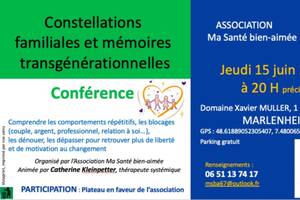 Constellations familiales et mémoires transgénérationnelles