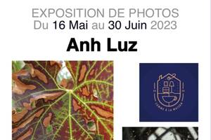 Anh Luz exposition photo