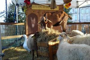 Marché Festif du 4 juin