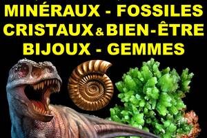 4ème Salon Minéraux Fossiles Cristaux & Bien-Être Bijoux et Gemmes  + Exposition de Dinosaures