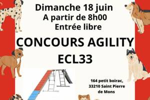 Concours canin Agility ECL33