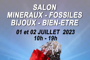 Salon minéraux, fossiles, bijoux de créateur et bien-être.