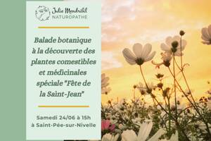 Rencontre plantes sauvages spéciale 