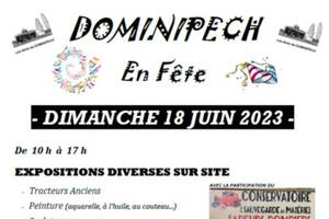 DOMINIPECH EN FETE