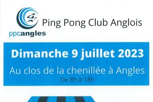 Vide-greniers par le Ping-Pong Club Anglois