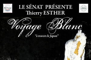 Voyage Blanc à travers le Japon