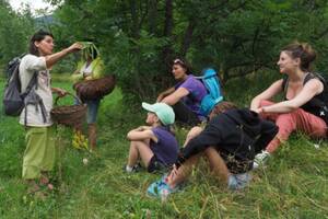 Balade scientifique : Identification des plantes