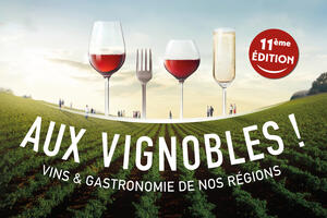 Salon Aux Vignobles ! de Colmar