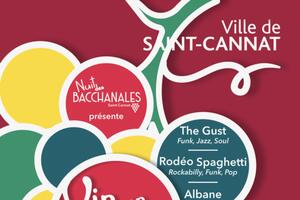 Vin en Scène - Nuit estivale des Bacchanales