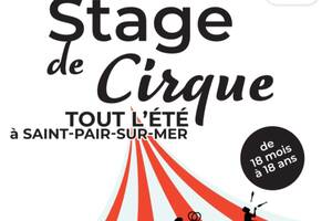 Stage de cirque a l'école de cirque