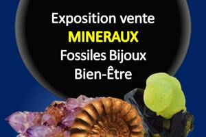Exposition vente de Minéraux, fossiles, bijoux et bien-être