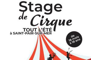 Stage de cirque école de cirque