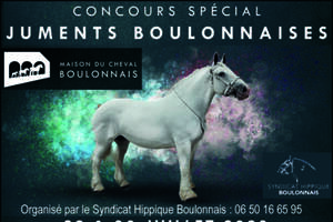 110ème concours national du cheval Boulonnais