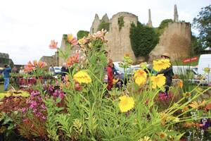 Fête des plantes de Bressuire en deux sèvres