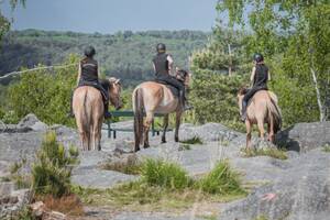 Espace Henson Pays de Fontainebleau