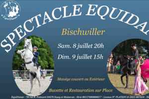 Spectacle Equestre EquiDanse