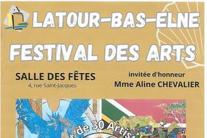 FESTIVAL DES ARTS