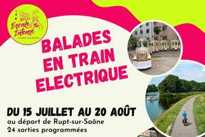 Balade en petit train dans la Vallée de la Saône