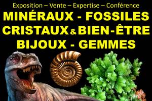 Salon Minéraux Fossiles Cristaux & Bien-Être Bijoux et Gemmes  + Exposition de Dinosaures