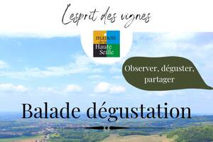 Balades Dégustation L'esprit des Vignes