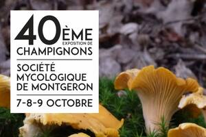 40ème Exposition de Champignons de Montgeron
