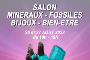 Salon minéraux, fossiles, bijoux de créateur et bien-être.