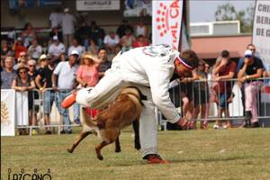 Concours de Chiens de travail