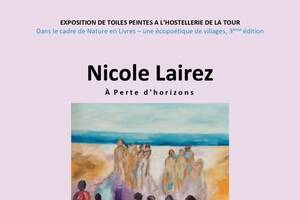 Nicole LAIREZ > Exposition artistique > A pertes d'horizons