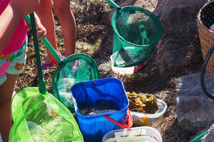 Petite pêche à l'épuisette