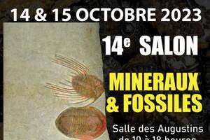 14ème Salon Minéraux et Fossiles de Pernes-les-Fontaines