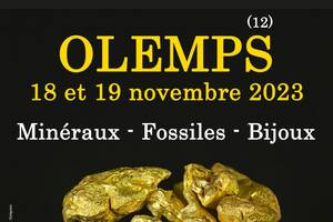 1er SALON MINERAUX FOSSILES BIJOUX d'automne de OLEMPS (Aveyron)