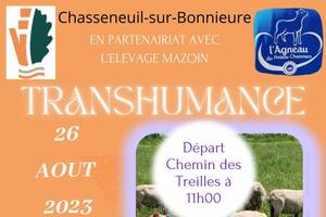 TRANSHUMANCE