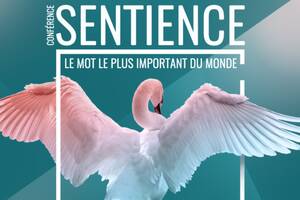 After-Work Conférence Sentience : le mot le plus important du monde