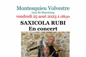 CONCERT :SAXICOLA RUBI, jazz acrobatique