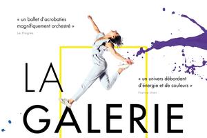  La Galerie Cirque contemporain