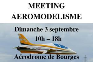 Meeting d'aéromodélisme