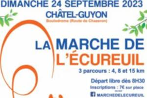 LA MARCHE DE L'ECUREUIL