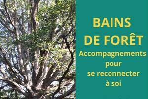 Bain de forêt - Se reconnecter à soi