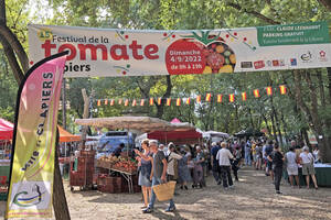 Festival de la Tomate