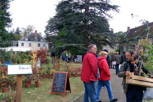 Journées de l'Arbre