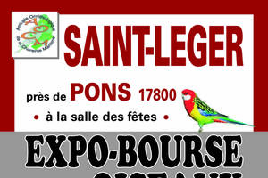 EXPO-BOURSE aux oiseaux