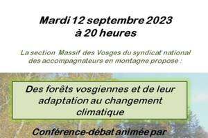 Des forêts vosgiennes et de leur adaptation au changement climatique