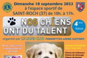 Nos chiens ont du talent