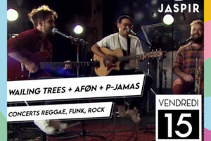 Concert GRATUIT : Wailing Trees + AFON + P-JamAs