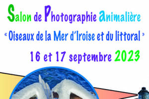 Salon de photographie animalière 