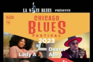 Chicago Blues Festival